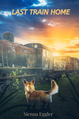 A corgi admiring the sunset over the ruins of a train