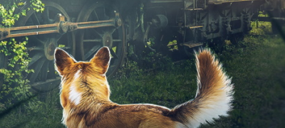 A corgi standing in front of a ruined train. There's overgrowth on the train as well.