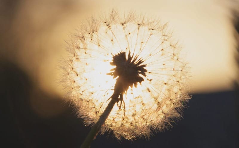 Speaking Out In Silence