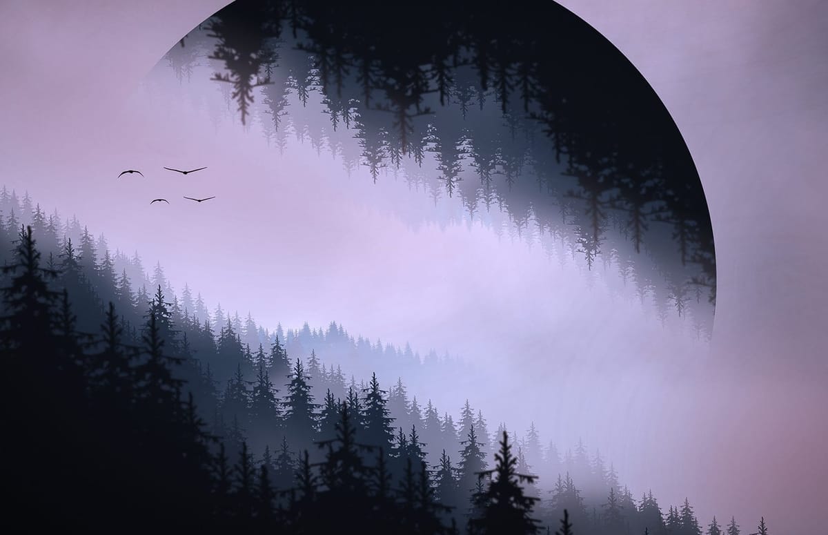 A forest overhung by purplish fog. Several birds can be seen in the distance.