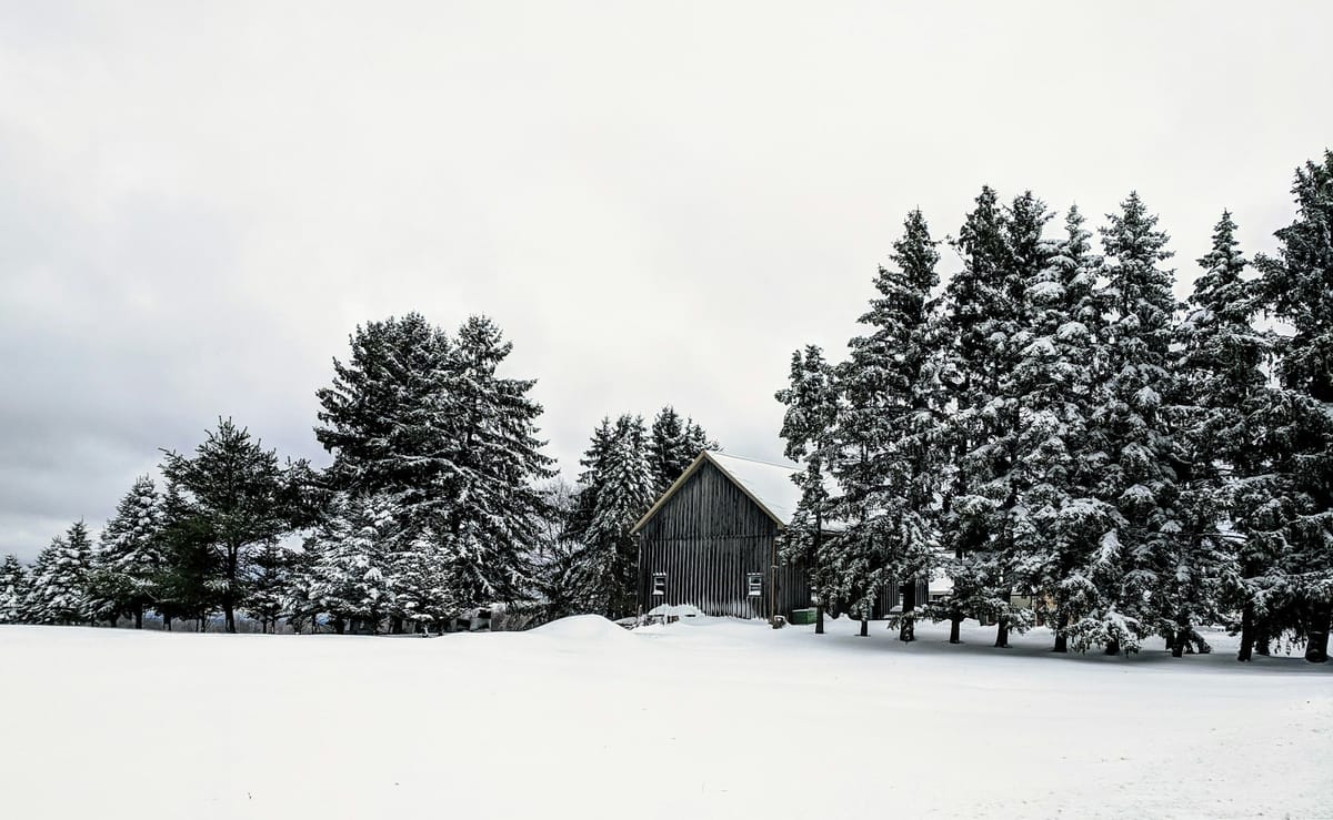 A small house framed by snow laden trees. Snow also covers the surrounding land.