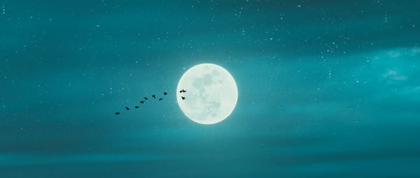 The night sky, with a blueish tint, a smattering of stars, and a light haze. A full moon sits in the middle, a flock of birds flying across.